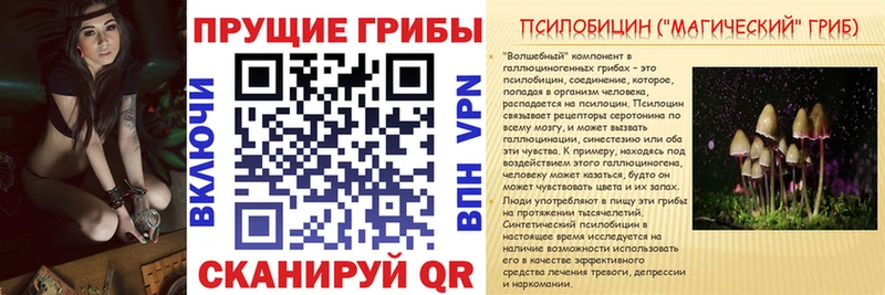 KRAKEN как войти  закладка  Салаир  Псилоцибиновые грибы GOLDEN TEACHER 